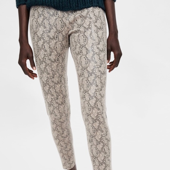 Zara Faux Suede Snake Print Leggings 